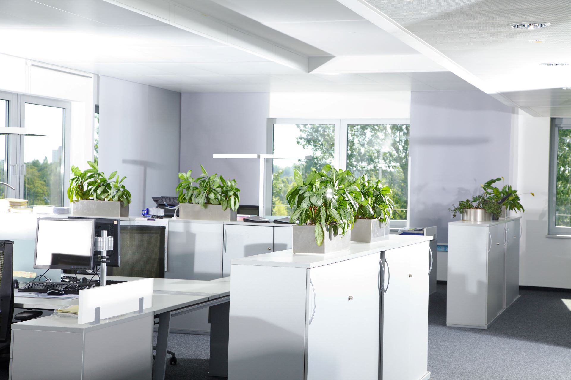 Resume Writing Services Semaphore South SA